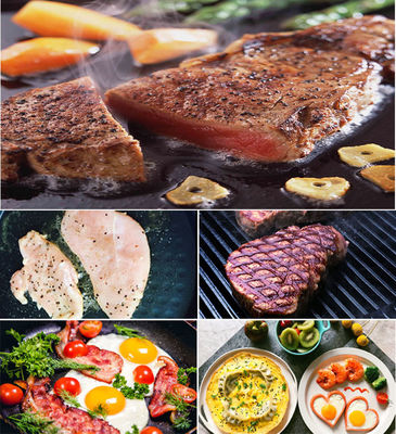 13kg Panini Grill elettrico Panini Sandwich Commercial Press Grill a contatto singolo in acciaio inox